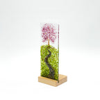 Cherry Tree on Hill in Medium Plinth