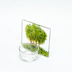 Small Tealight - Group of Trees