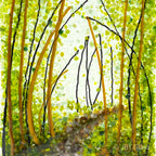 Tea Light - Candle Display - A Walk in the Woods