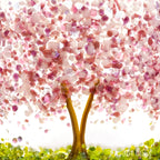 Glass Screen - Fused Glass Cherry Blossom Trees