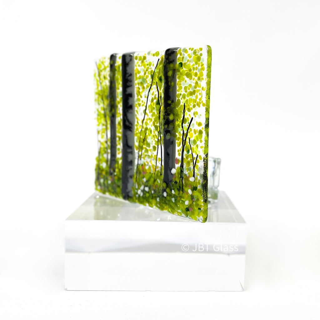 Tea Light - Candle Display - Silver Birch Forest