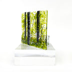 Tea Light - Candle Display - Silver Birch Forest