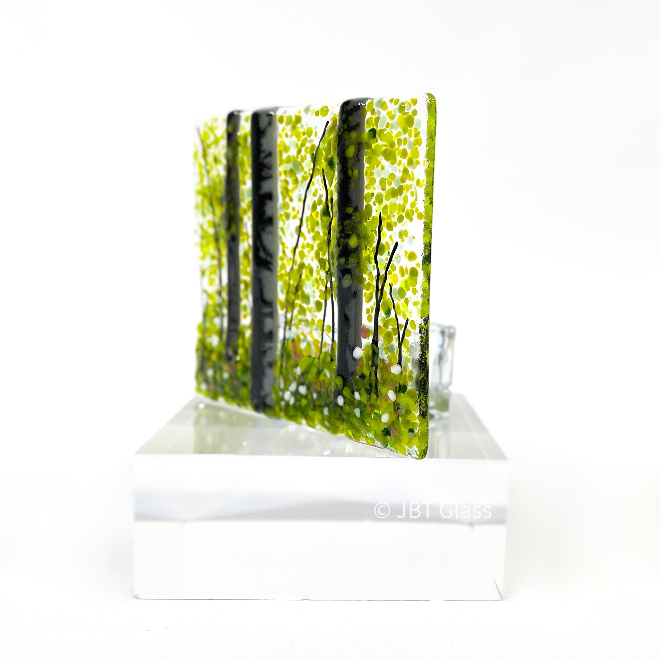 Tea Light - Candle Display - Silver Birch Forest