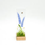 Bluebells in Small Oak Plinth