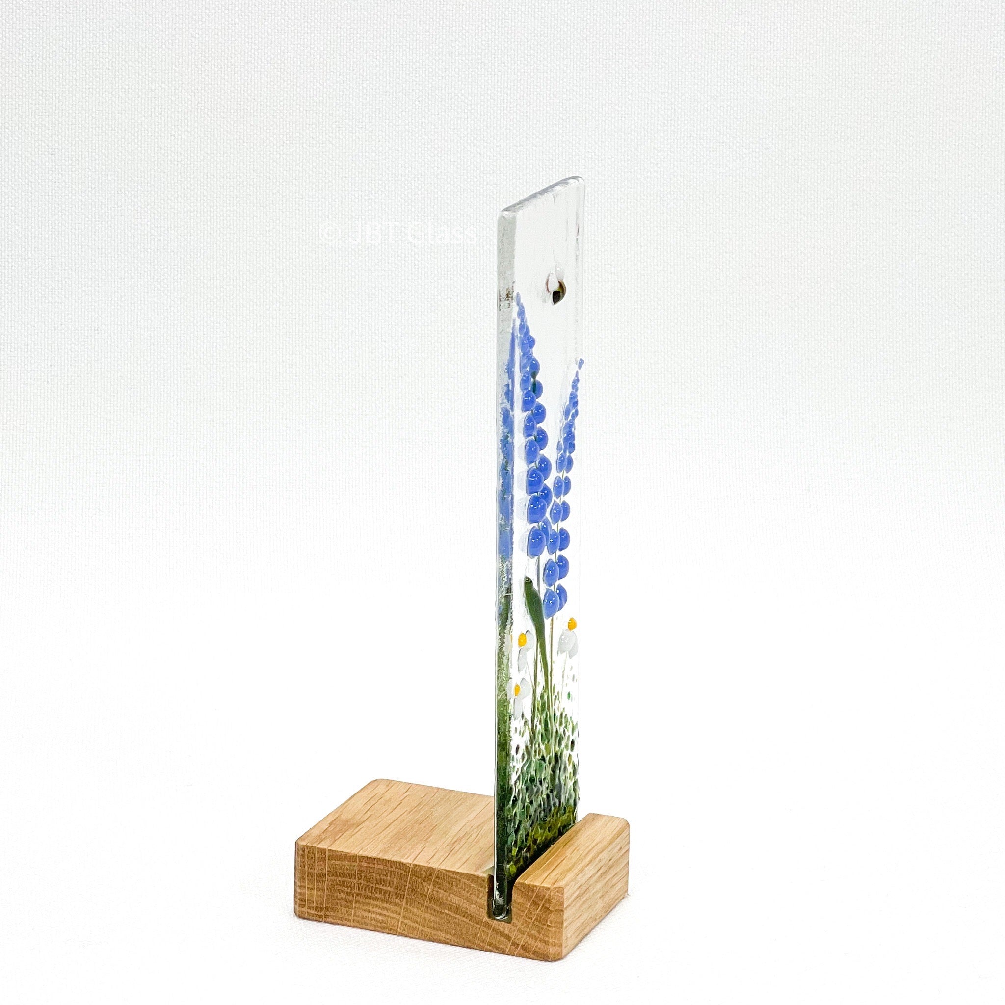 Bluebells in Small Oak Plinth