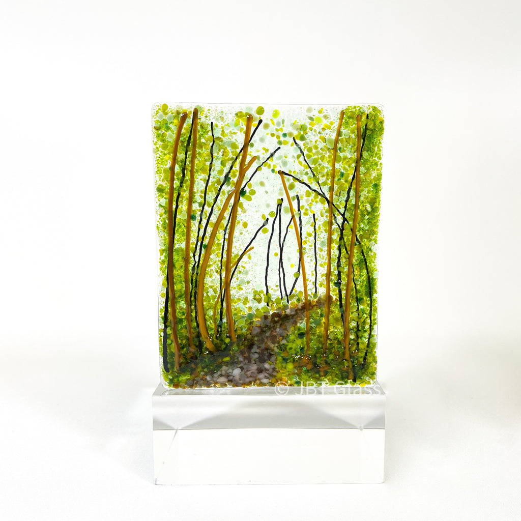 Tea Light - Candle Display - A Walk in the Woods