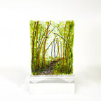 Tea Light - Candle Display - A Walk in the Woods