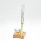 Glass Screen Flowers - Medium Plinth