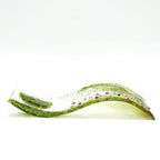 Glass Screen - Fused Glass Wave Summer Meadow