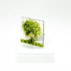 Small Tea Light - Summer Tree