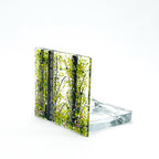 Tea Light - Candle Display - Silver Birch Forest
