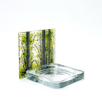 Tea Light - Candle Display - Silver Birch Forest