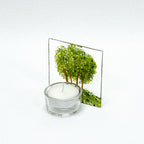 Small Tealight - Group of Trees