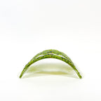 Glass Screen - Fused Glass Summer Trees