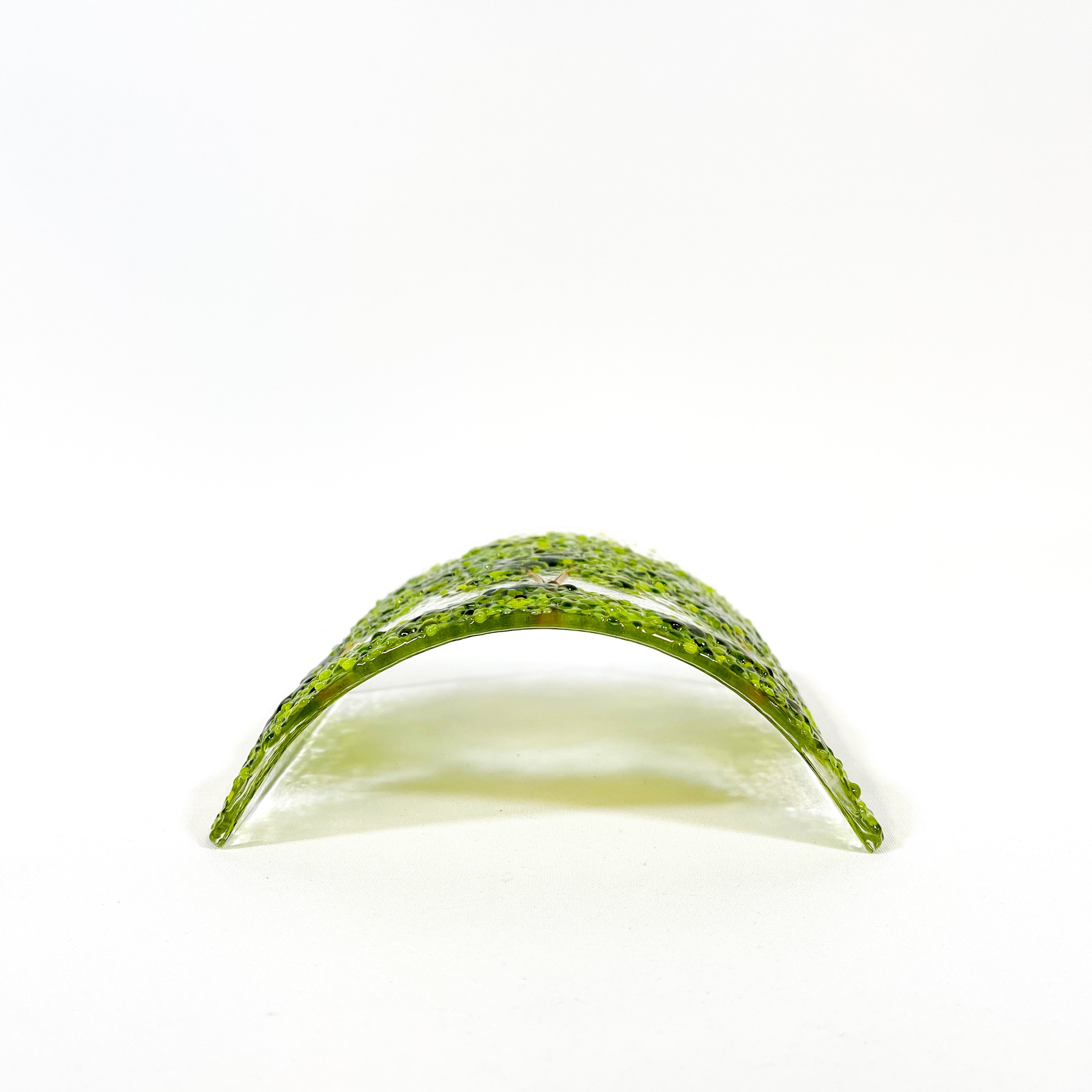 Glass Screen - Fused Glass Summer Trees