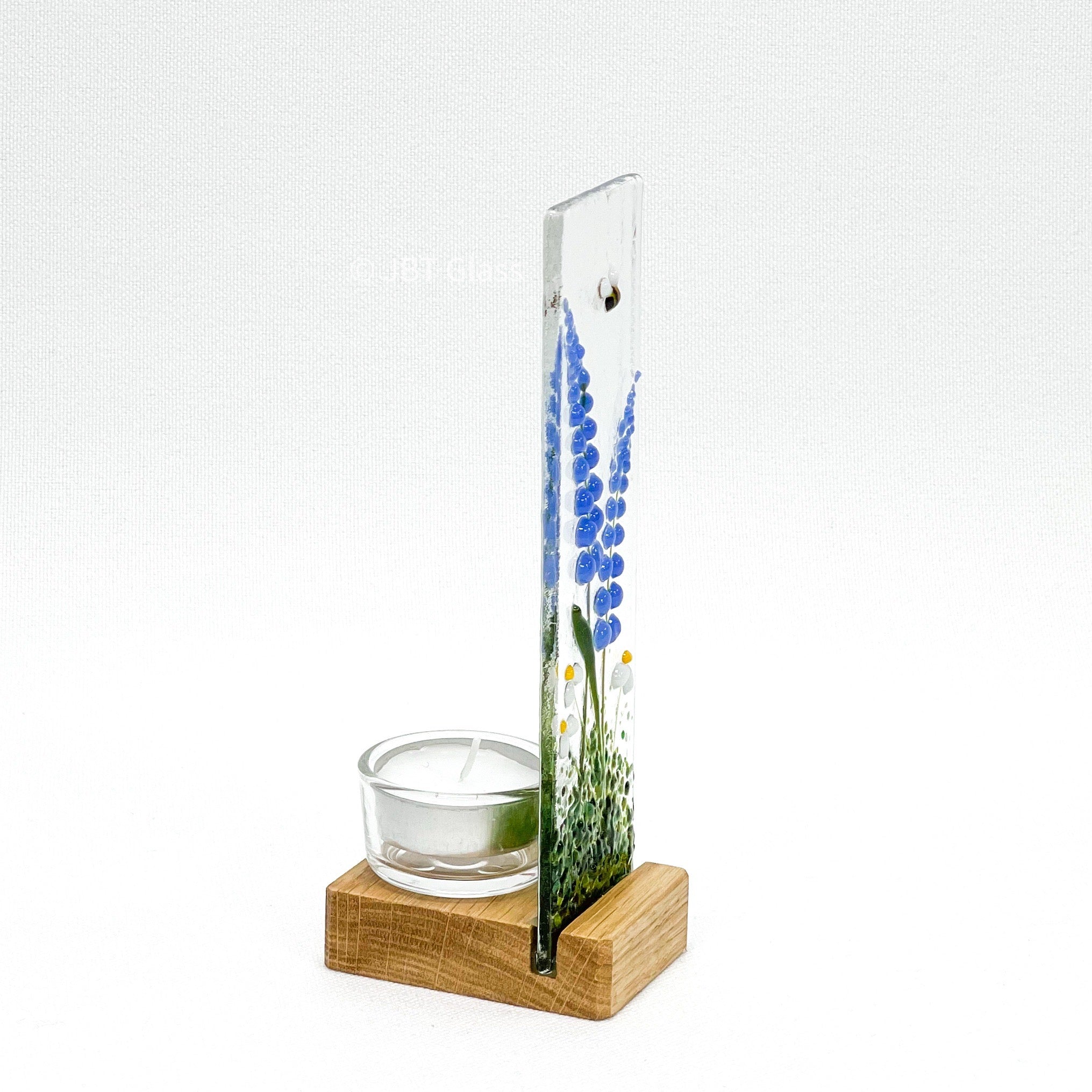 Bluebells in Small Oak Plinth