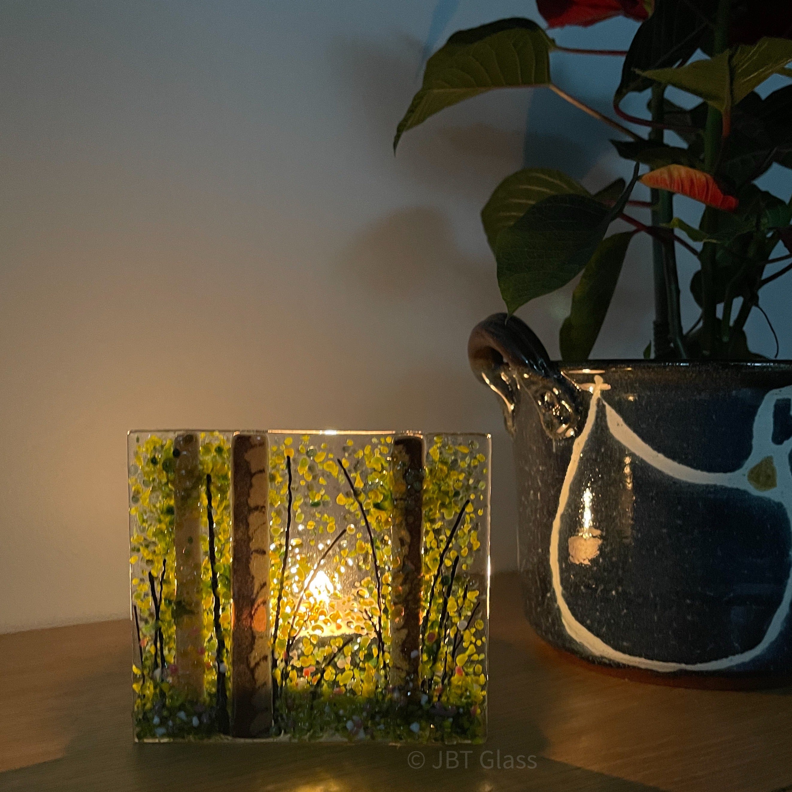 Tea Light - Candle Display - Silver Birch Forest