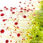 Glass Screen - Fused Glass Wave Poppy Meadow