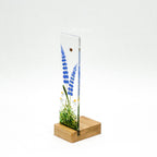 Bluebells in Small Oak Plinth