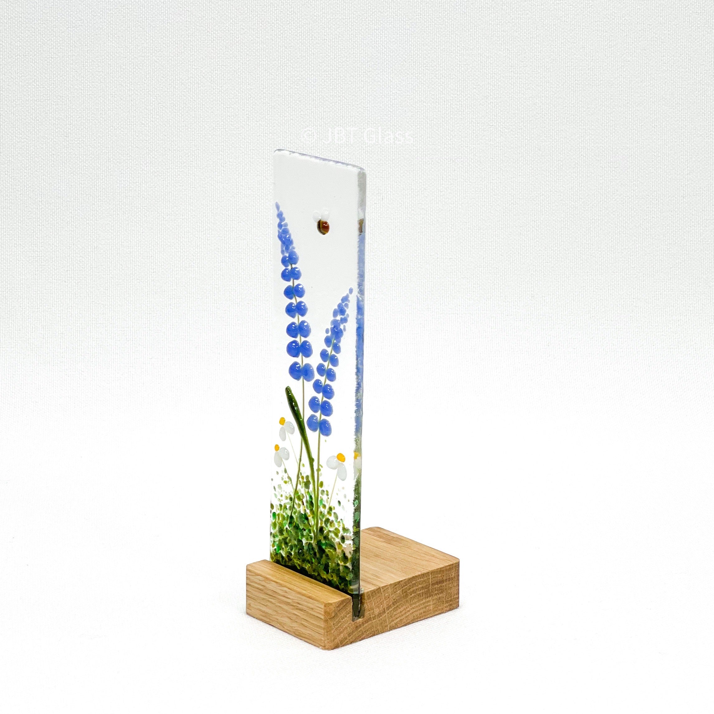 Bluebells in Small Oak Plinth