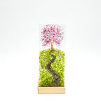 Cherry Tree on Hill in Medium Plinth