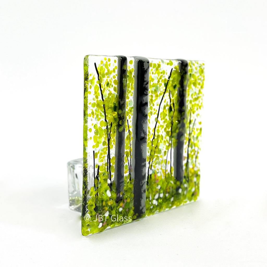 Tea Light - Candle Display - Silver Birch Forest